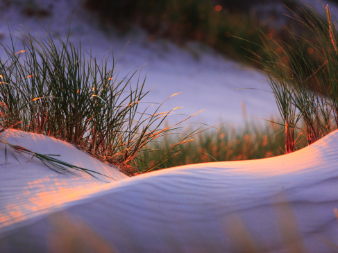 Image by morzaszum from Pixabay