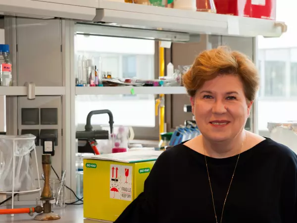 Prof. Alicja Węgrzyn