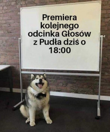 Zdjęcie zachęcające do słuchania Głosów z Pudła