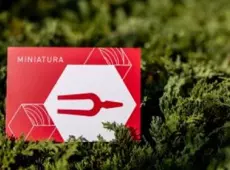 miniatura NCN