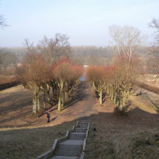 Ostromecko
