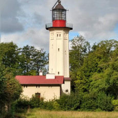 '