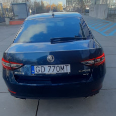 widok z tyłu